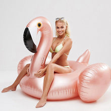 22 Style Giant Swan Watermelon Floats