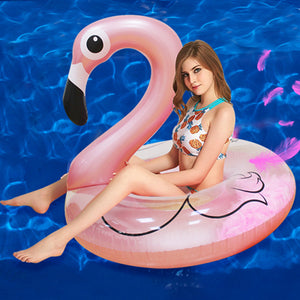 22 Style Giant Swan Watermelon Floats